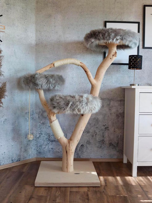 Octor Handcrafted natural beech wood cat tree with cozy perches for ultimate feline comfort.